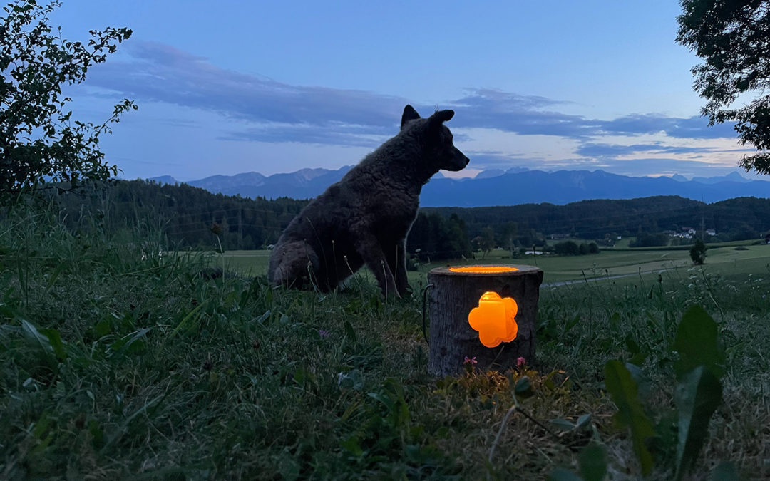 Happy End für Dió