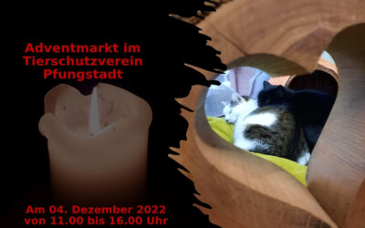 Adventmarkt am 4. Dezember 2022