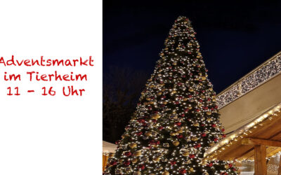 Adventsmarkt