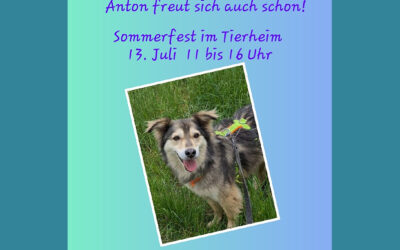 Sommerfest im Tierheim